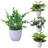 Faux Bonsai Plant in Plastic Pot-812064287-806538073