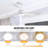 Figgins 52'' Ceiling Fan with Light Kit-1131274998