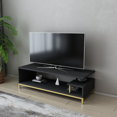 Reily TV Stand for TVs up to 50"