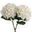Anastasija Arrangement-1038311199-1038311193