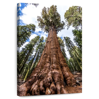 Harnek General Sherman Tree