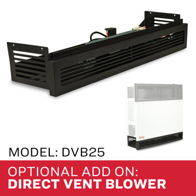 Ashley Hearth DVAG30L Liquid Propane Direct-Vent Wall Heater