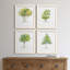 L'arbre I - ensemble de 4 reproductions d'art encadrées-1506622916-1506622942-1496819695