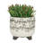 S/2 CERAMIC 6/8" SCRIBBLE FOOTED PLANTER