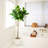 5Ft. Artificial Petite Audrey Ficus Tree