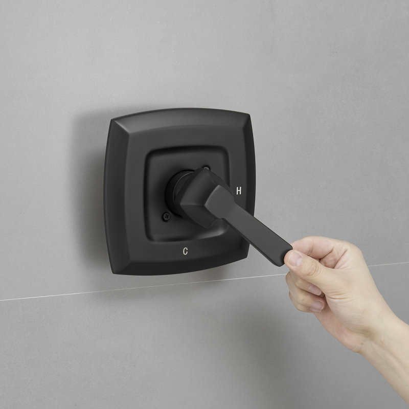 Shower Faucet, Matte Black