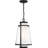 Ryan Outdoor Hanging Lantern