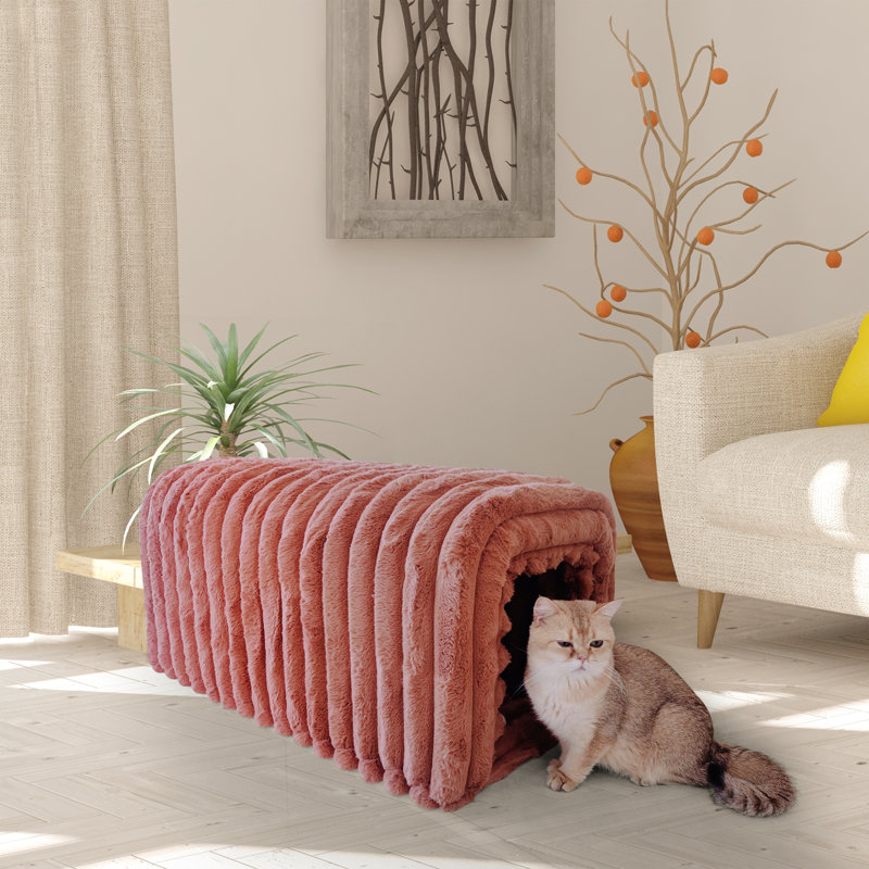 Fournitures pour animaux en velours côtelé, Brun