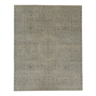 Neo Villa Wool Oriental Indoor Rug
