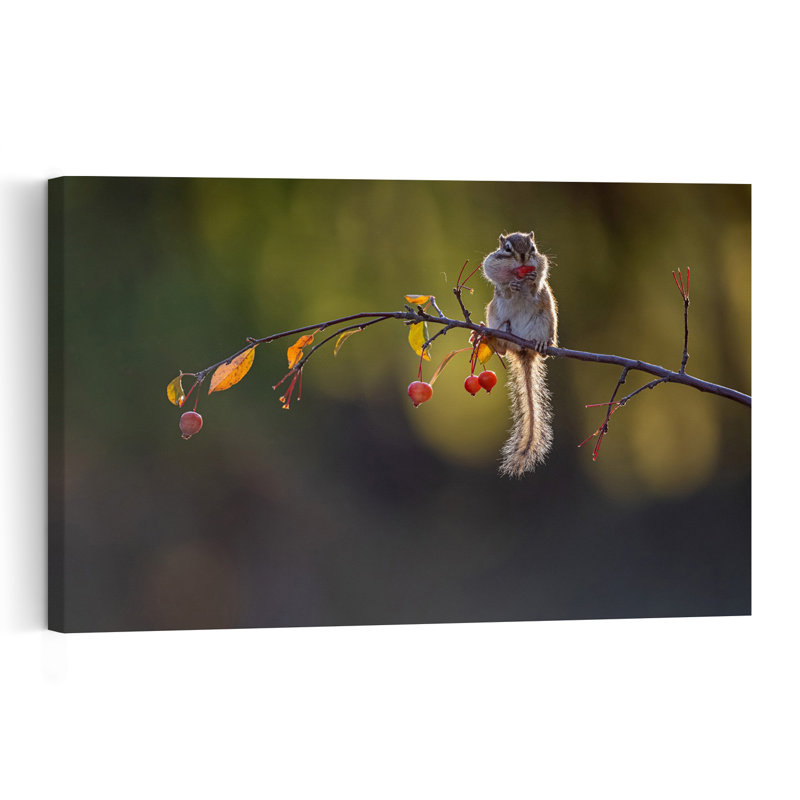 Autumn Chipmunk Snack Abstract Contemporary Forest Landscape Wall Art Print by Summer2016 - Print, 40.64cm H x 60.96cm W