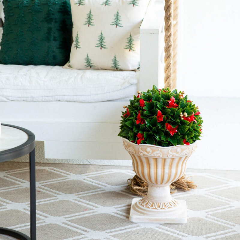 22 po Boule de Noël Photinia
