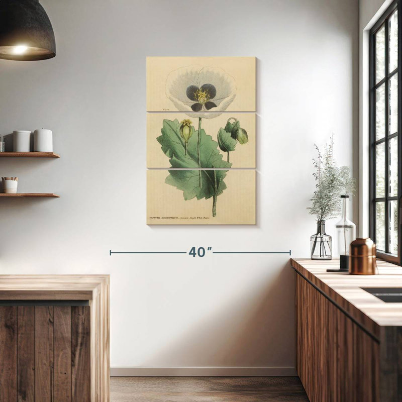 Herbal Botanical XV, 38" H x 24" W