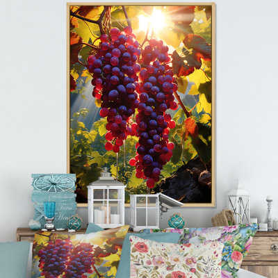 " Sunset On Vineyard In Rhones "