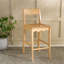 Rosetty Scallop Counter Stool-125847859