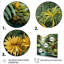 Rainforest Jungle Plants Landscape 2 - Jungle, art mural-2084985668-2084985669