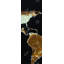 American Continent at Night - décor de toile encadrée noire