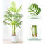 Anjie Faux Palm Tree in Pot-681094830