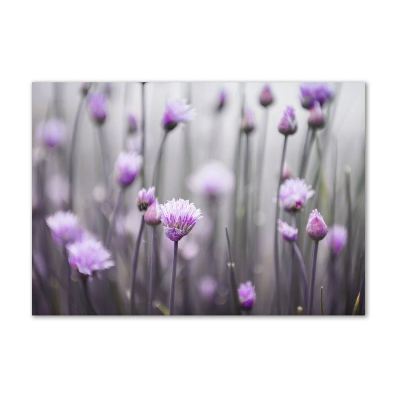Flowers Of Chives - Wrapped Canvas Print