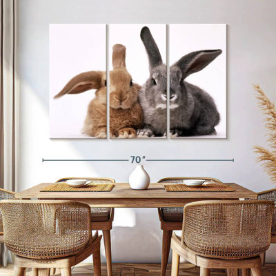 Brampt Brown And Gray Bunnies