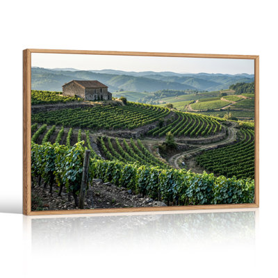 «Green Vineyard Rows and Stone House On Rolling Hills», art mural sur toile