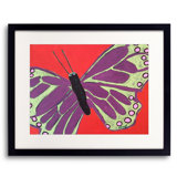 Butterfly by Sue Graef
