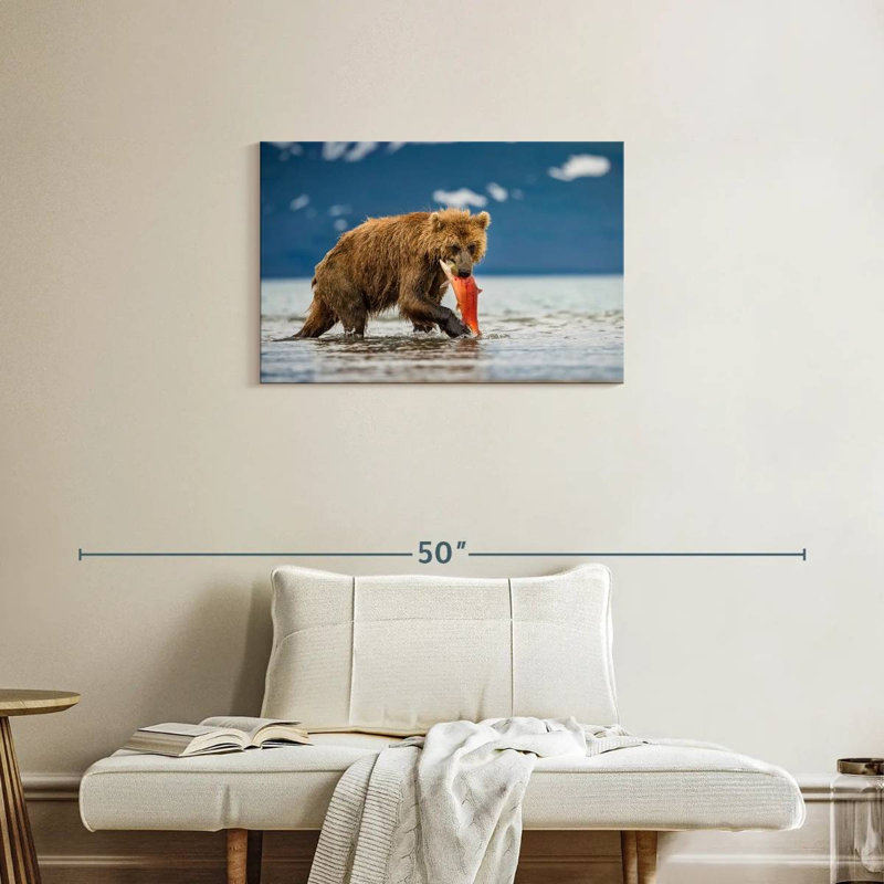 Grizzly de Brampt mangeant du saumon, H 20 po x l 30 po