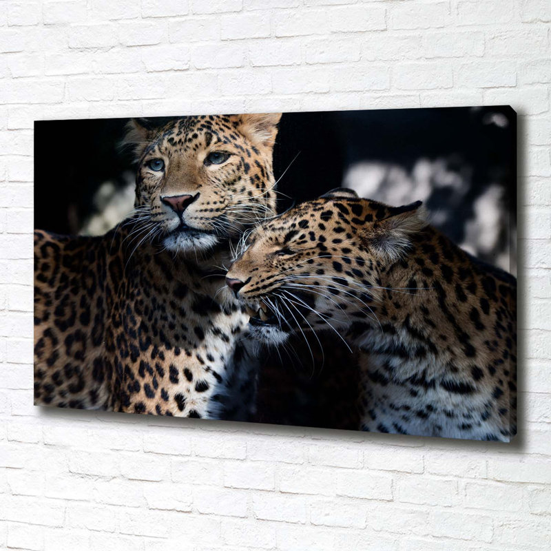 Two Leopards - Wrapped Canvas Print