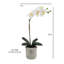 22" Artificial White Phalaenopsis Orchids