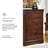 Brandenn 31.5'' W 5 - Drawer Dresser