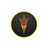 Arizona State (Fork)