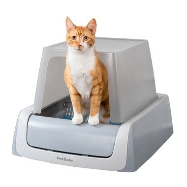 Petsafe Smart Feed Automatic Dog And Cat Feeder - Blue : Target