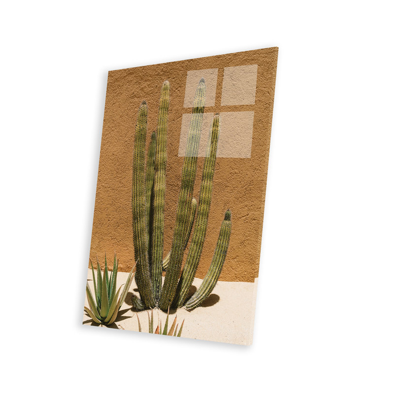 Cabo cactus II, impression sur verre acrylique