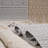Loom & Natural 4X6 Area Rug, Traditional For Living Areas, Stain , Non-Shedding, And Pet-, Medium Pile 0.29 Inches Rug 4X6, Indoor Outdoor Use, Pet , Easy Maintenance