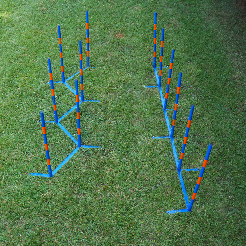 Lord Anson Dog Agility Weave Poles - Ensemble de poteaux de tissage Agility