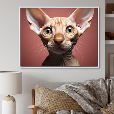 " Peterbald Playfulness Cat Portait "