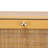 Younts 2-Drawer Wood and Rattan Shoe Cabinet