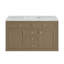 Chicago 48'' W Single Vanity-884161353-884161354