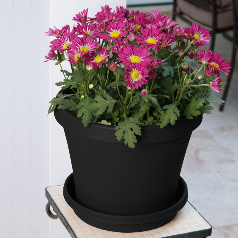 Terra Traditional Plastic Indoor/Outdoor Pot Planter, Charcoal, 5.5" H x 6.5" W x 6.5" D
