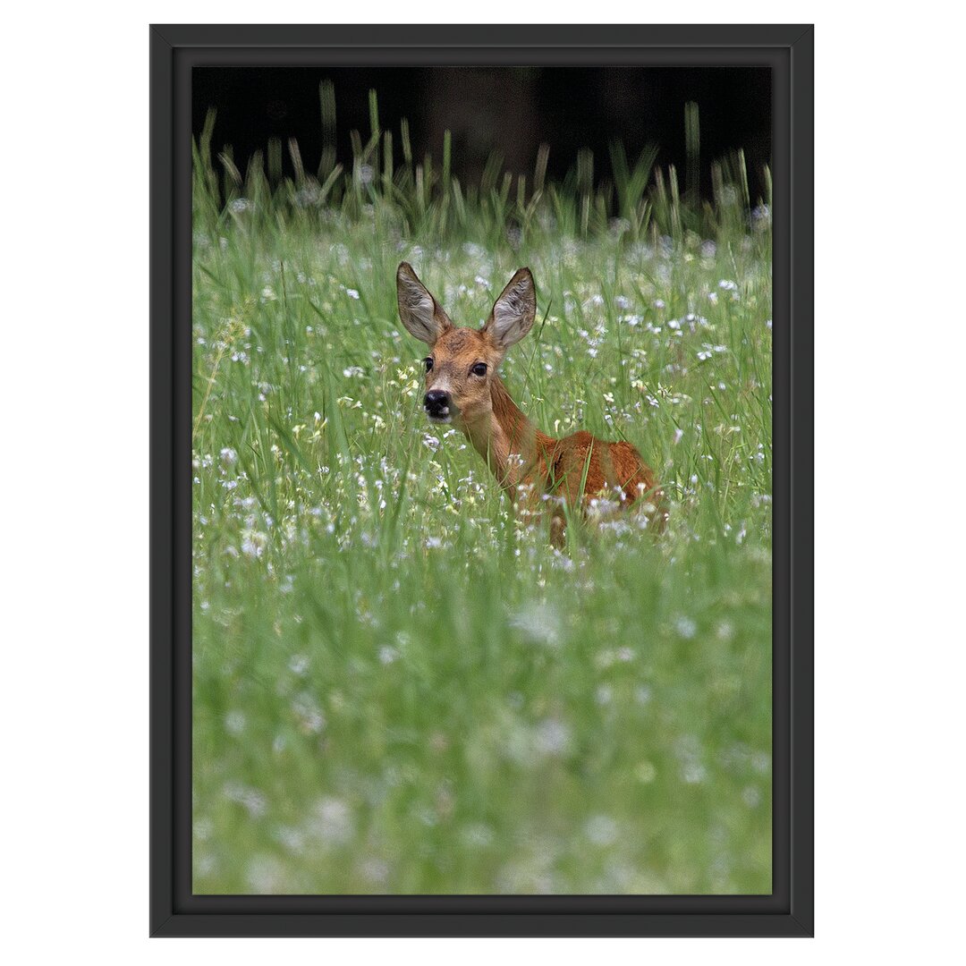 Gerahmtes Wandbild kleines Rehkitz auf Wiese