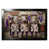 NFL Minnesota Vikings