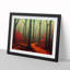 XH1022-613X An Enviable Autumn Forest - Single Picture Frame Painting-146003798-146003799