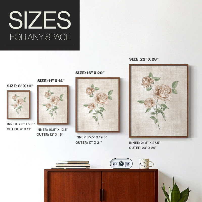 Blush Rose Botanical I, reproduction encadrée - bois massif, H 21 po x l 17 po, Noyer