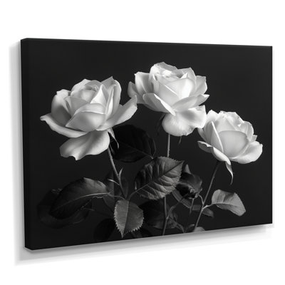 Monochrome Black And White Roses Bloom III - Roses Wall Art