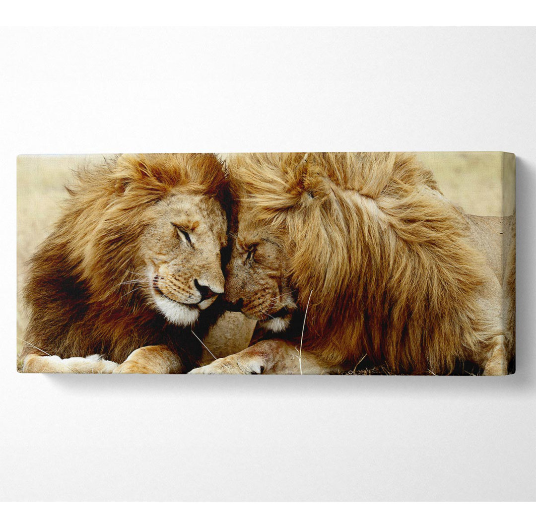 Lions Love Wild Cats Animals - Kunstdrucke auf Leinwand