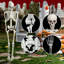 5,4 pi squelette de vie d'Halloween, squelette pleine grandeur pour les accessoires de jardin d'Halloween