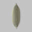 Coussin décoratif Nathanim-1389706347