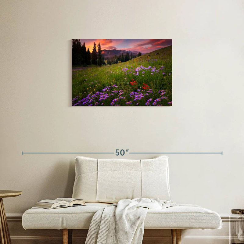 Alvord Rocky Mountains Wildflowers, H 20 po x l 30 po