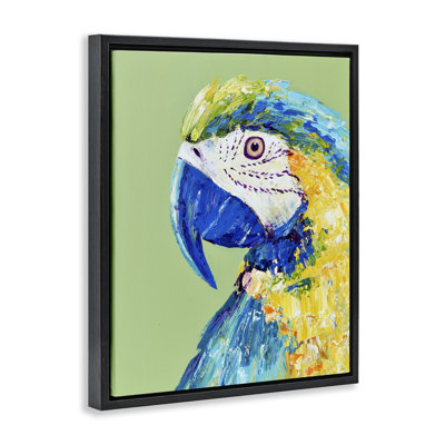 Macaw Parrot on Green Floating Frame, design by Jennifer Seeley