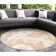 Vanness Floral Indoor / Outdoor Rug