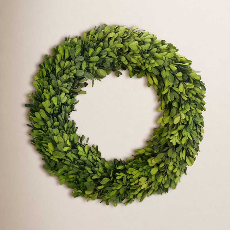 Boxwood Wreath, 14" H x 14" W x 2.75" D